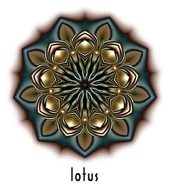 Lotus
