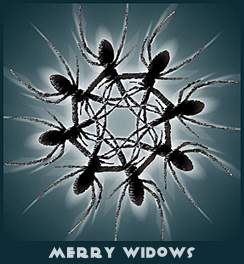 Merry Widows